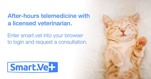 After Hours Smart.Vet Virtual Support